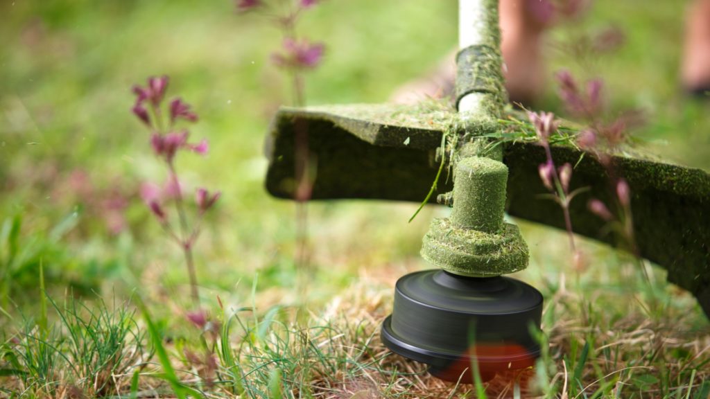 Steps for Stringing a Weed Eater